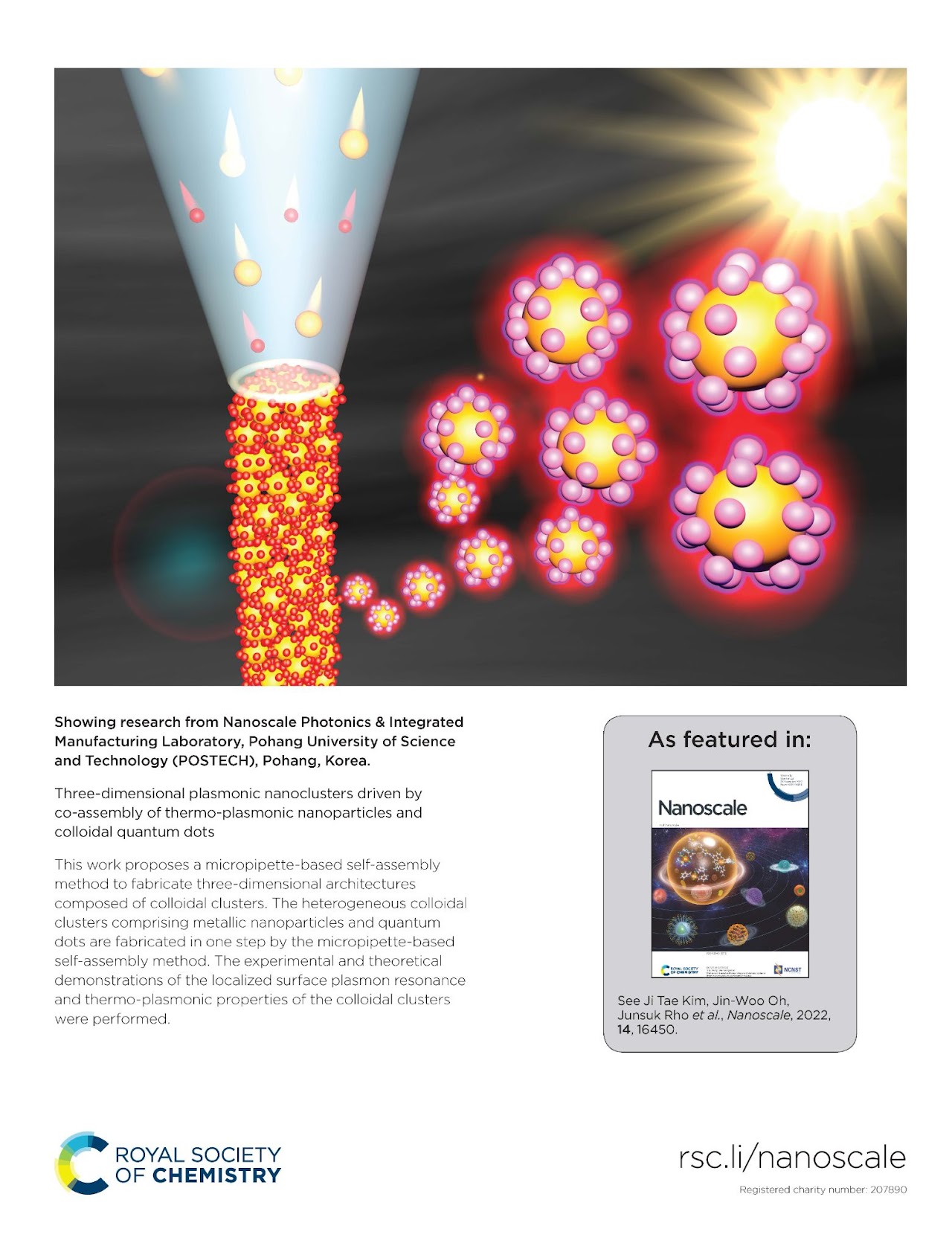 Back Cover of Nanoscale