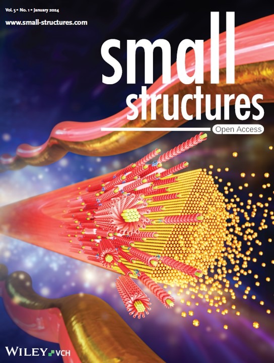 Front Cover of Small Structures