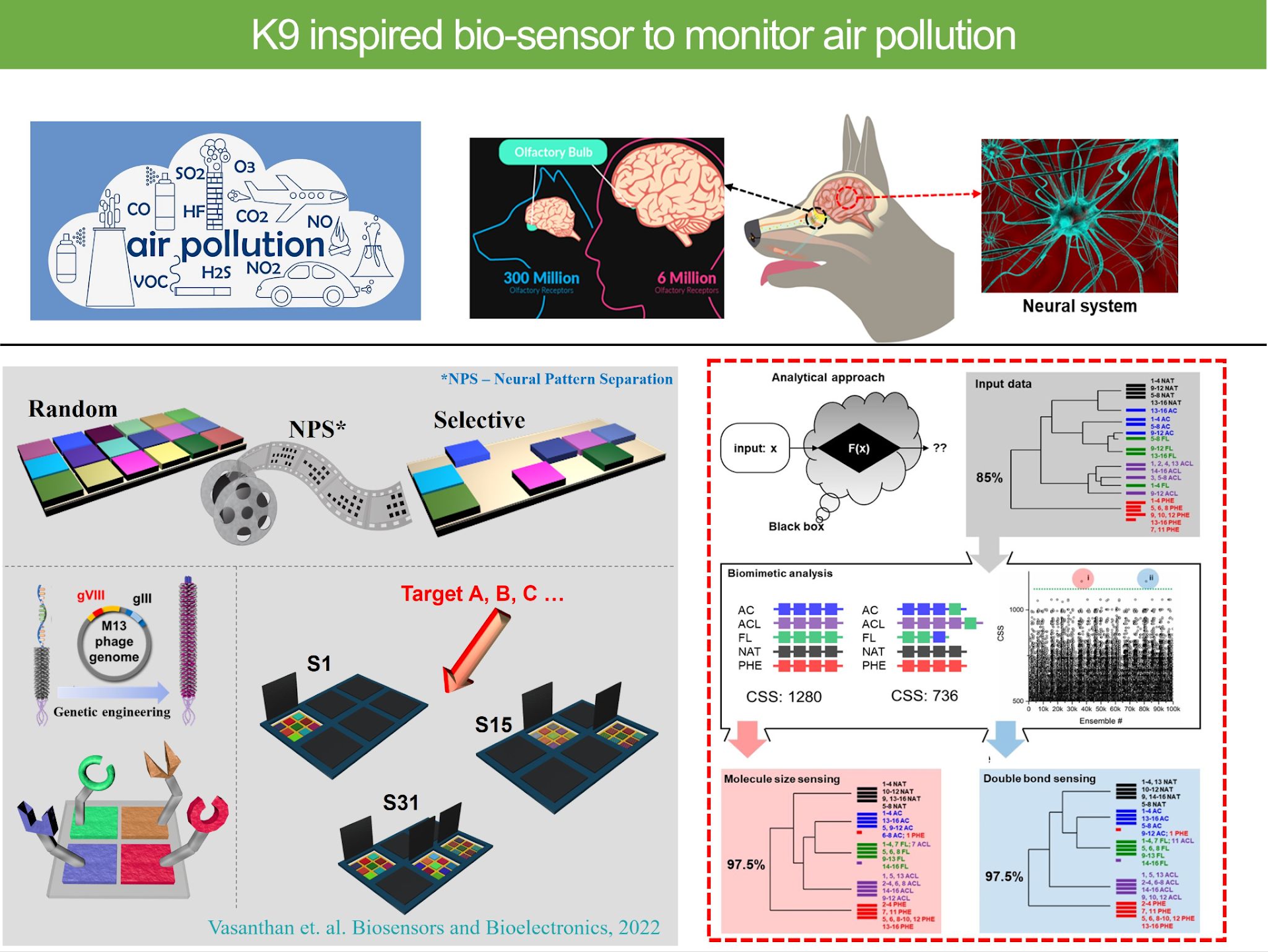 Sensory models based on neural mechanisms