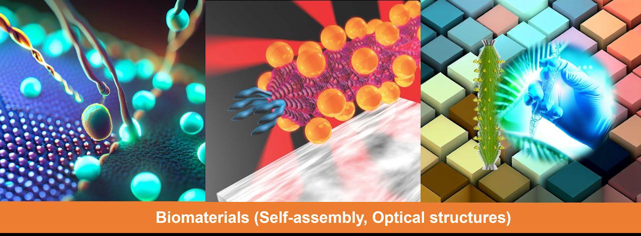 Self-Assembly Model